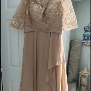 Elegant Champagne Lace Sleeve Dress